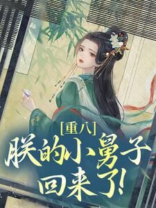 马元辰朱元璋小说结局