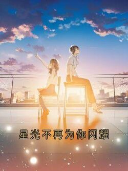 全章节小说星光不再为你闪耀神秘人最新阅读