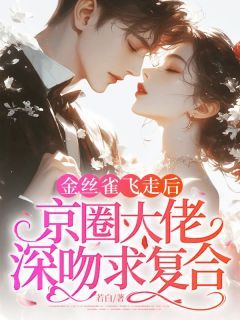 金丝雀飞走后,京圈大佬深吻求复合无弹窗在线阅读