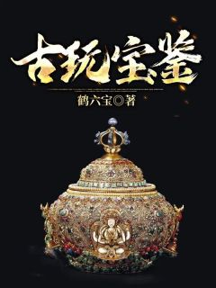 免费完结小说古玩宝鉴梁石林昕无弹窗免费阅读