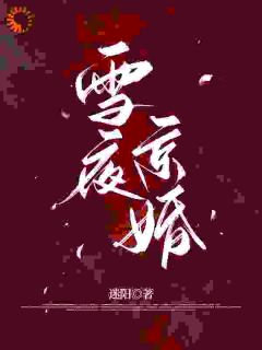 雪夜京婚小说(完结)-苏黎周斯辰章节阅读