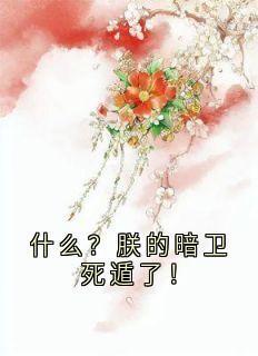 什么?朕的暗卫死遁了!免费阅读全文,主角沐质封离小说完整版-英驰看书网