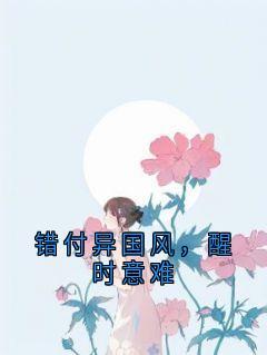 黎北珂厉景行完整版错付异国风,醒时意难全文最新阅读