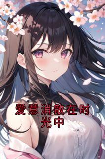 快手热文爱意消散在时光中沈琛阮阮小说推荐