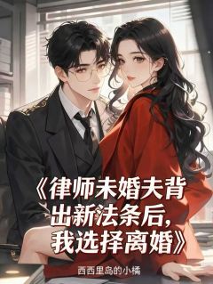 玖日故事的小说律师未婚夫背出新法条后,我选择离婚主角是江宴辞乔雪宁-英驰看书网